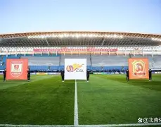 开云体育网页版登录入口-纽卡斯尔俱乐部